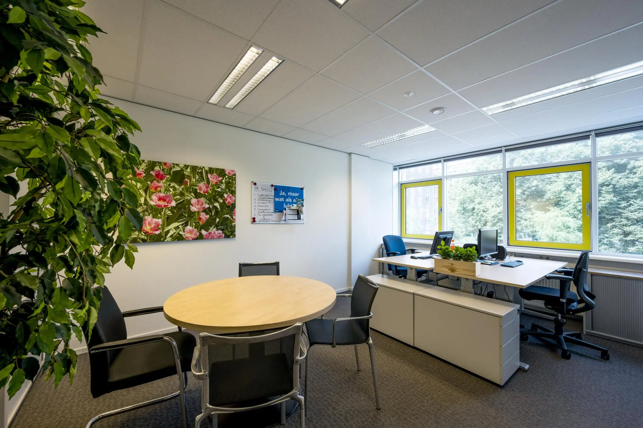 Modern kantoor op de Jan Tooropstraat met een vergadertafel, werkplekken, planten en grote ramen met uitzicht op groen.